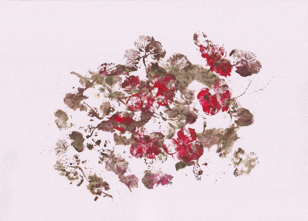 Note floreali terrose da Maira Ribena