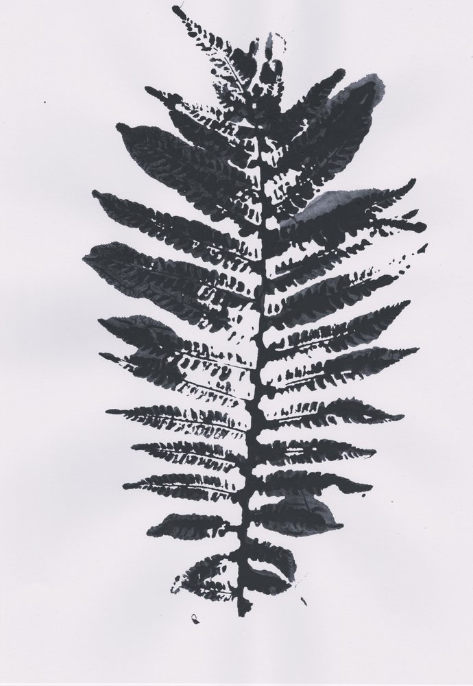 Elegant Fern Leaf da Maira Ribena