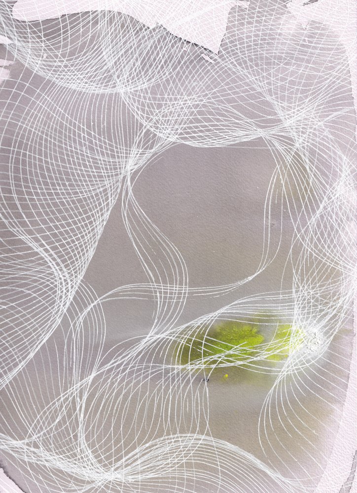 Linee sinuose - Verde da Maira Ribena