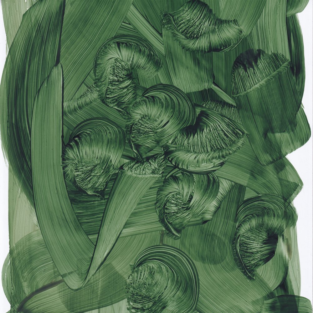 Riccioli di un verde intenso da Maira Ribena
