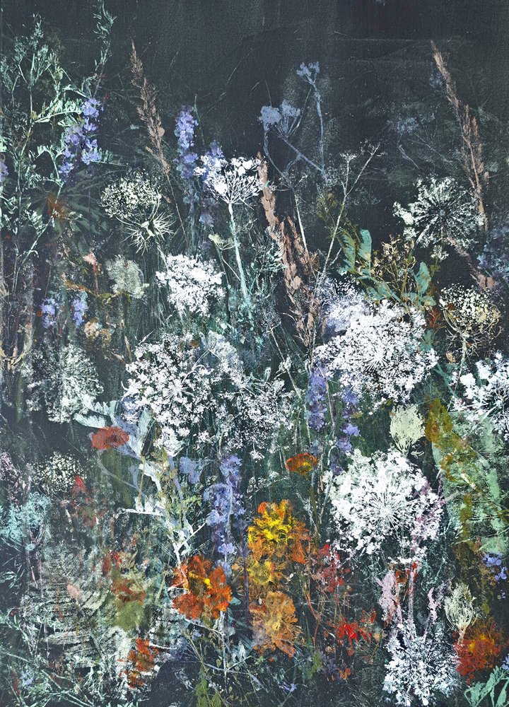 Fioritura notturna dei fiori selvatici da Maira Ribena
