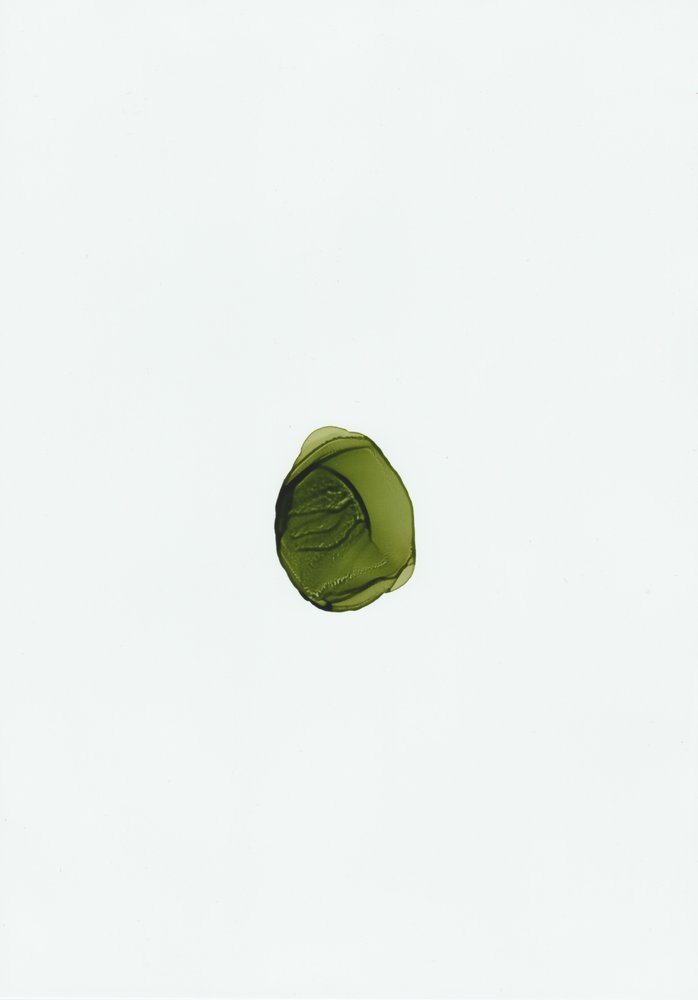 Fluido verde biologico da Maira Ribena