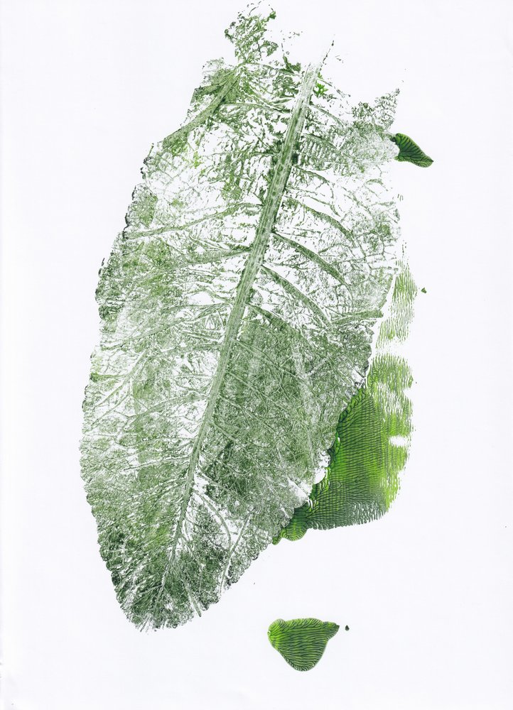 Stampa con foglie in stile organico da Maira Ribena