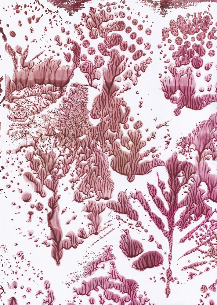 Flusso marrone scuro biologico da Maira Ribena
