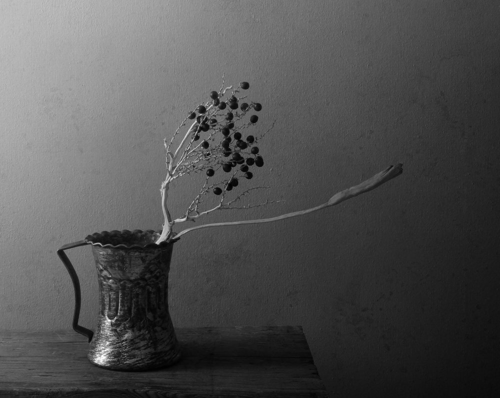 Natura morta con bacche scure da Margaret Halaby