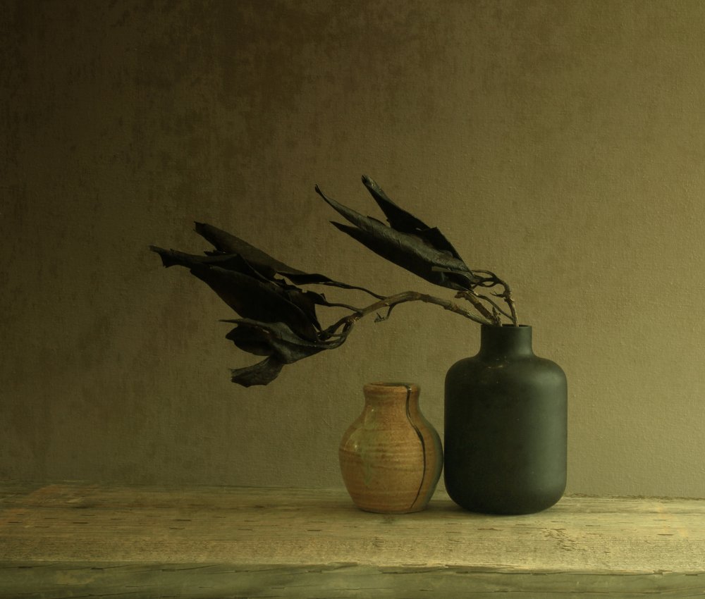Natura morta minimalista con foglie da Margaret Halaby