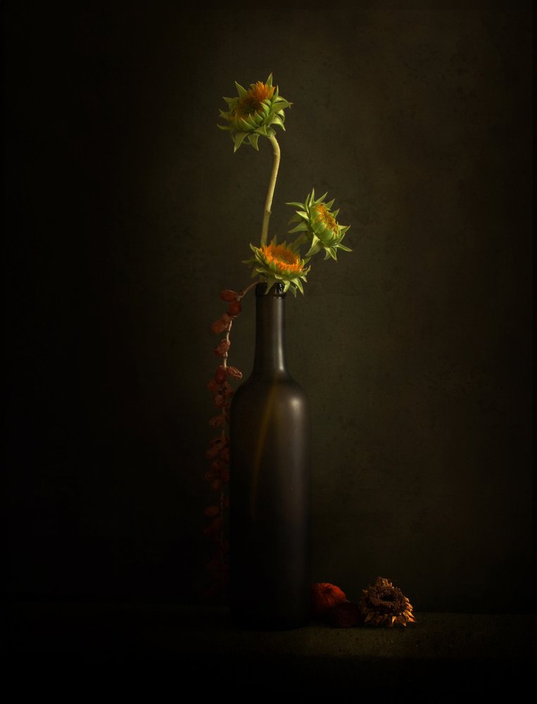Natura morta con girasole malinconico da Margaret Halaby