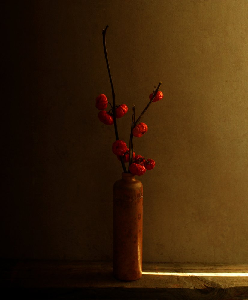 Natura morta con bacche rosse da Margaret Halaby