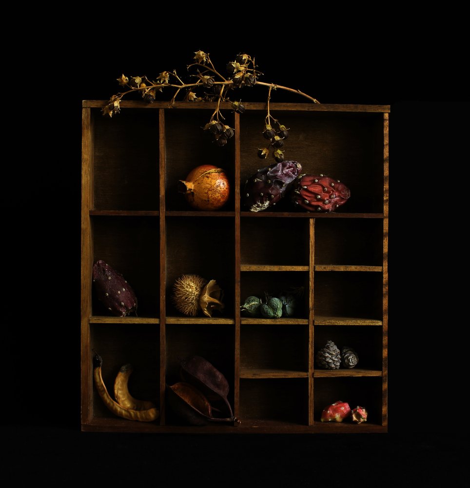 Natura morta rustica con motivi botanici da Margaret Halaby