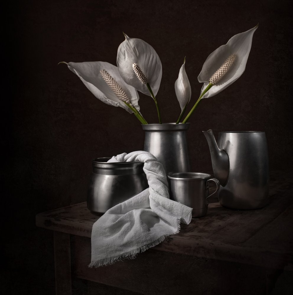 Eleganti gigli della pace da Margareth Perfoncio