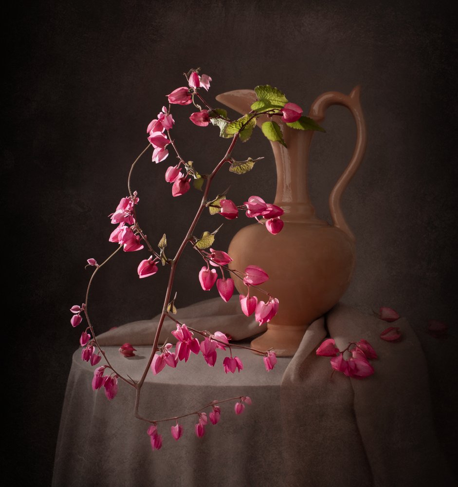 Elegante natura morta rosa da Margareth Perfoncio
