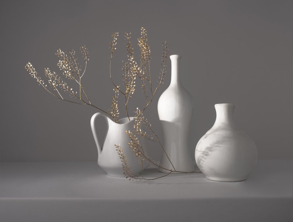 Natura morta botanica minimalista da Margareth Perfoncio