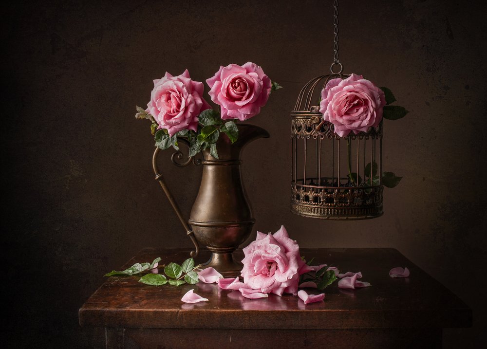 Natura morta con rosa malinconica da Margareth Perfoncio