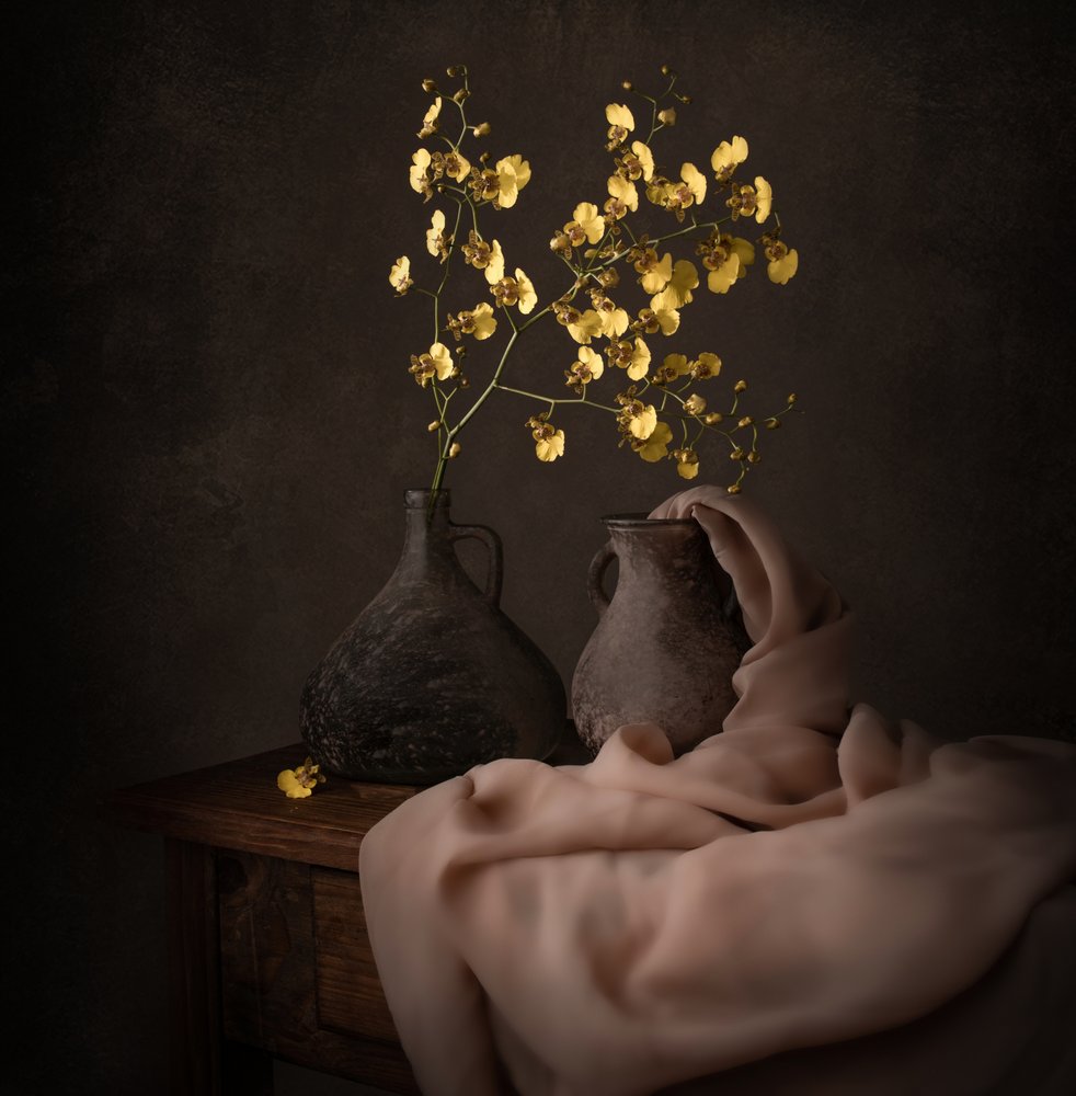 Orchidee gialle malinconiche da Margareth Perfoncio