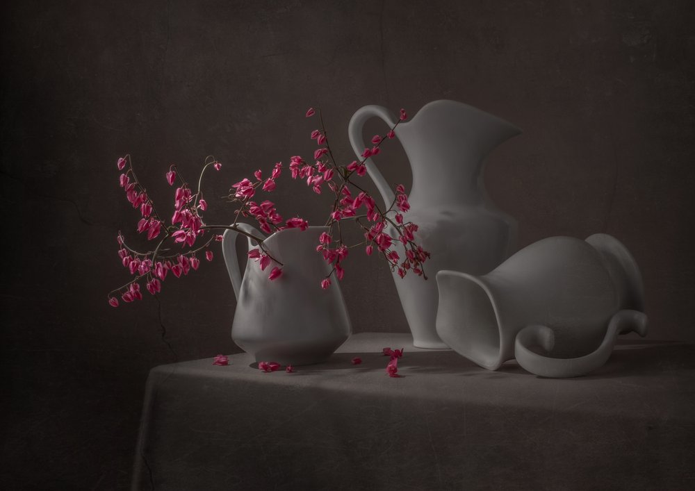 Fiori rosa e brocche bianche da Margareth Perfoncio