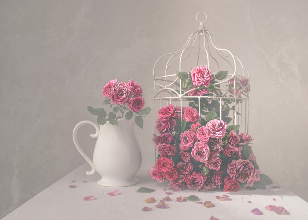 Rose e gabbietta da Margareth Perfoncio