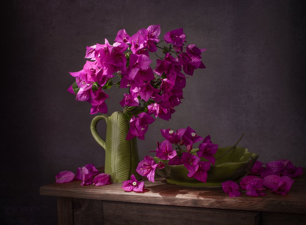 Viva natura con bouganville dai colori vivaci da Margareth Perfoncio