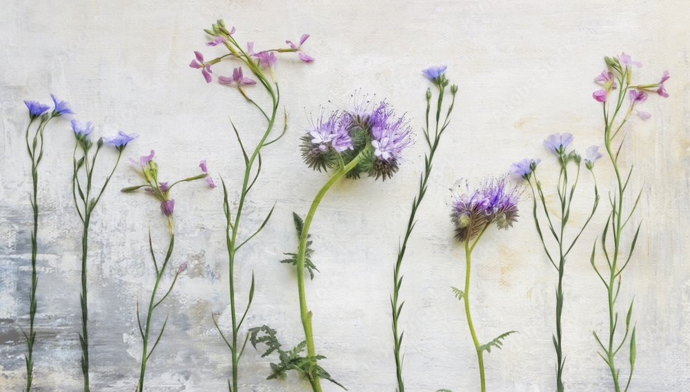 Steli di fiori selvatici eterei da Marie-anne Stas