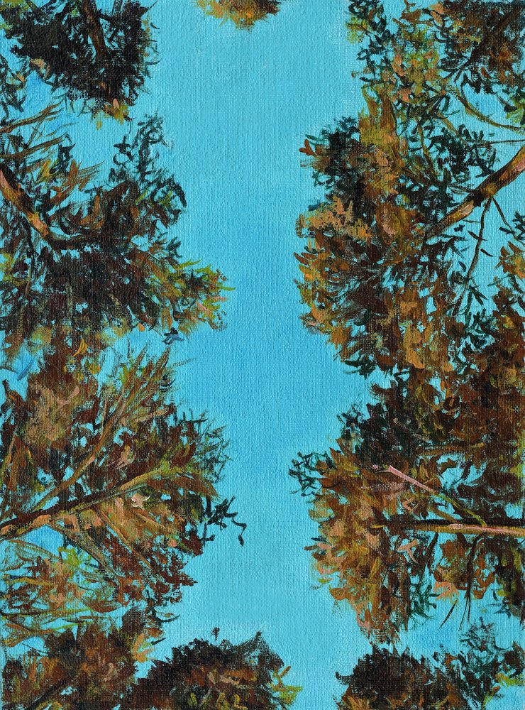 Alberi autunnali visti dal basso da Marina Kozyr