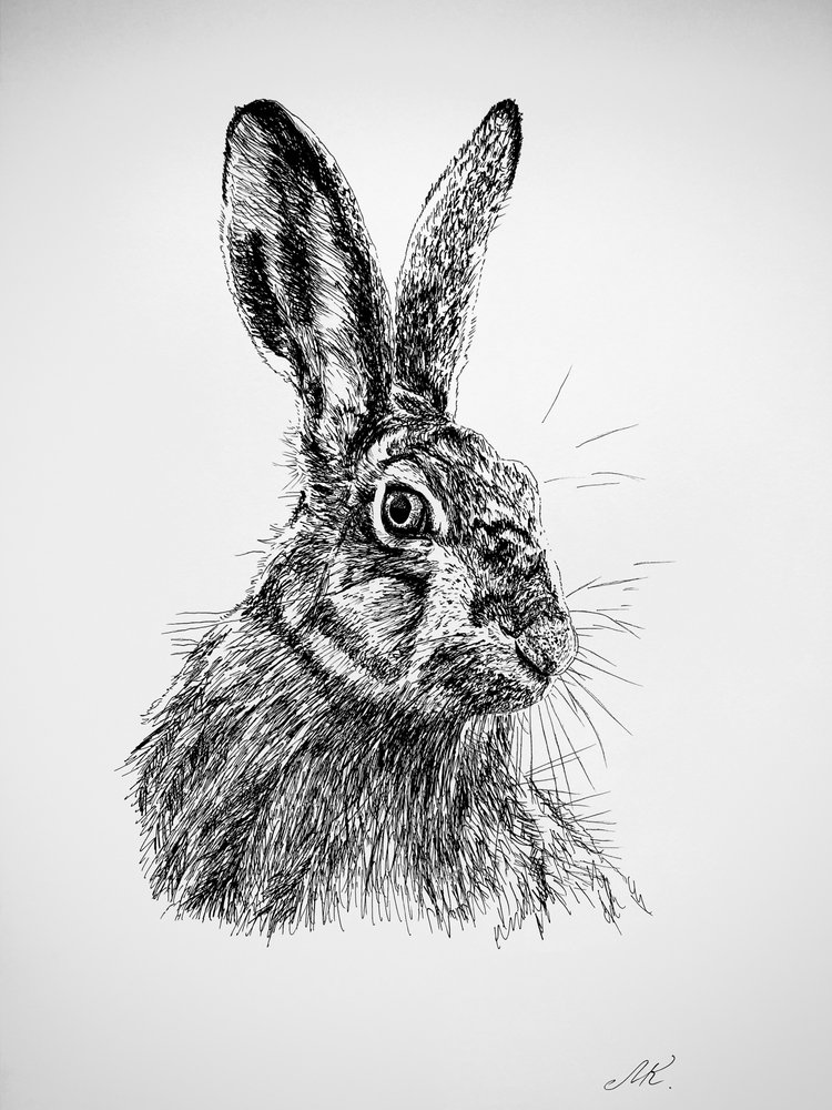 Disegno di una lepre curiosa da Marina Kozyr
