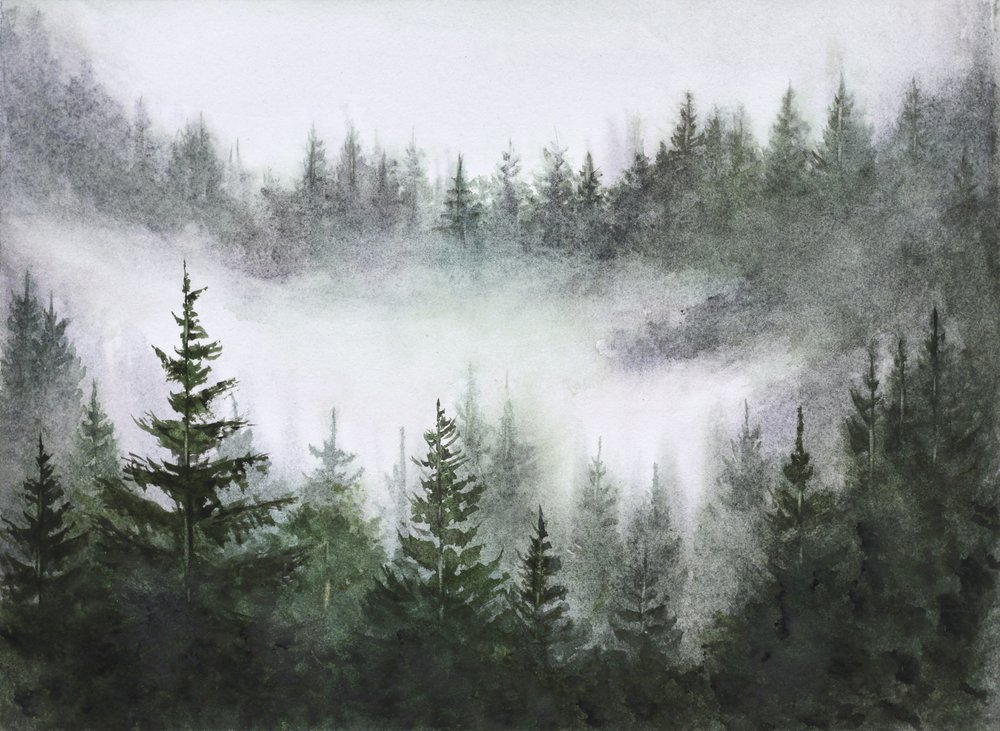 Serenità della foresta nebbiosa da Marina Kozyr