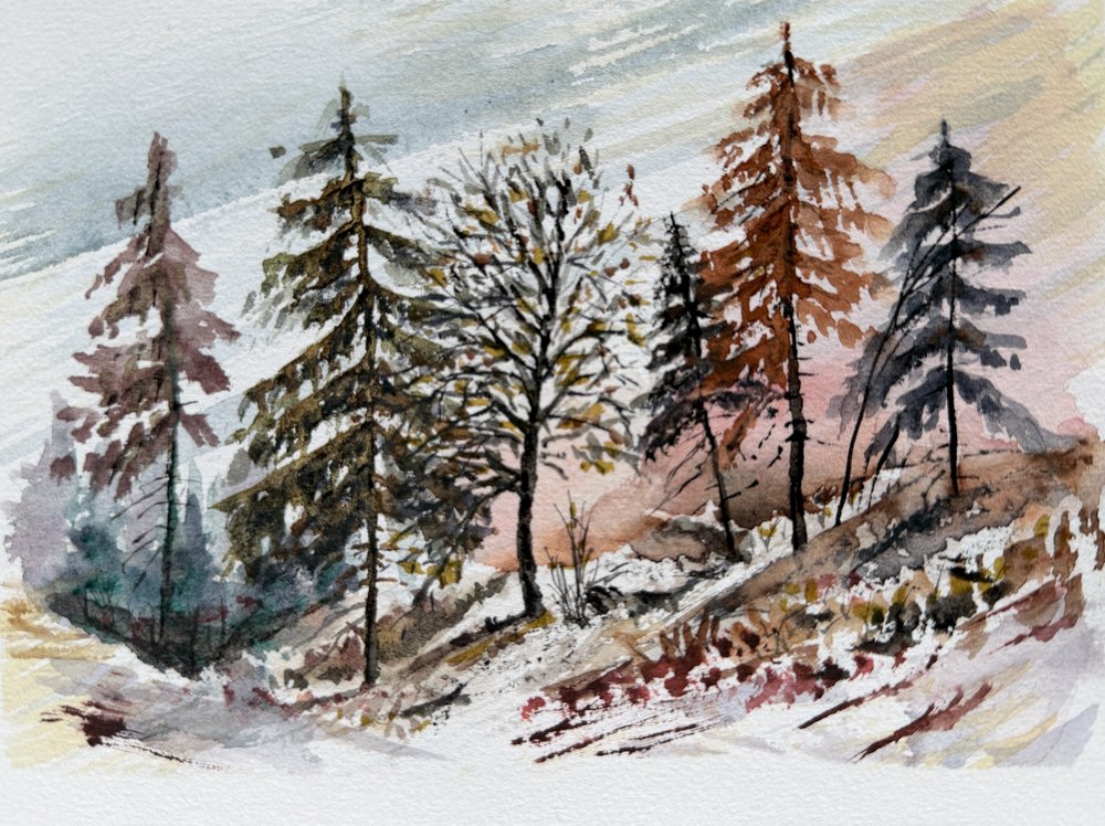 Alba nevosa nella foresta da Marina Kozyr