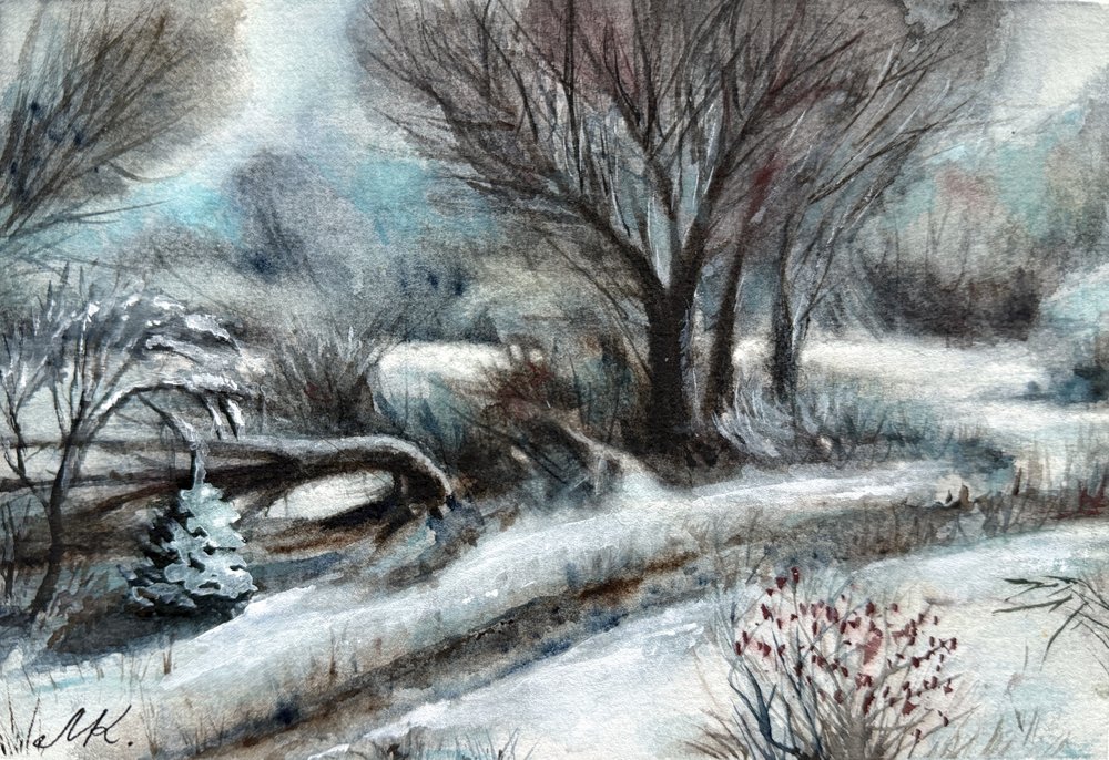 Sentiero invernale innevato da Marina Kozyr