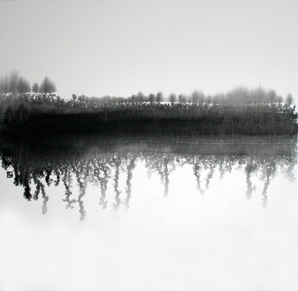 Riflesso nella foresta monocromatica da Marina Nelson