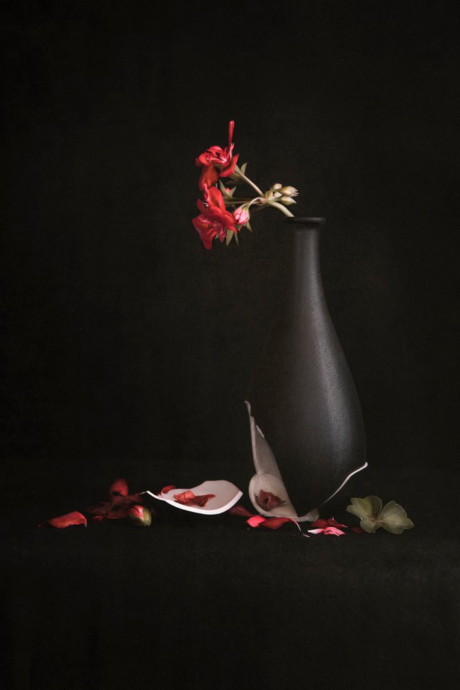 Vaso rotto con fiori rossi da Martine Benezech