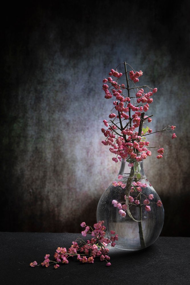 Natura morta con bacche rosa da Martine Benezech