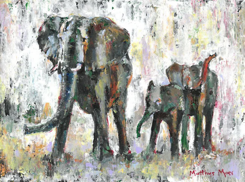 Famiglia di elefanti africani da Matthys Moss