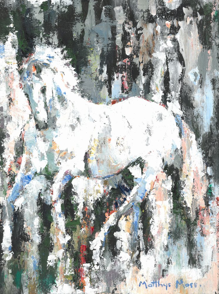 Il cavallo bianco vivace da Matthys Moss