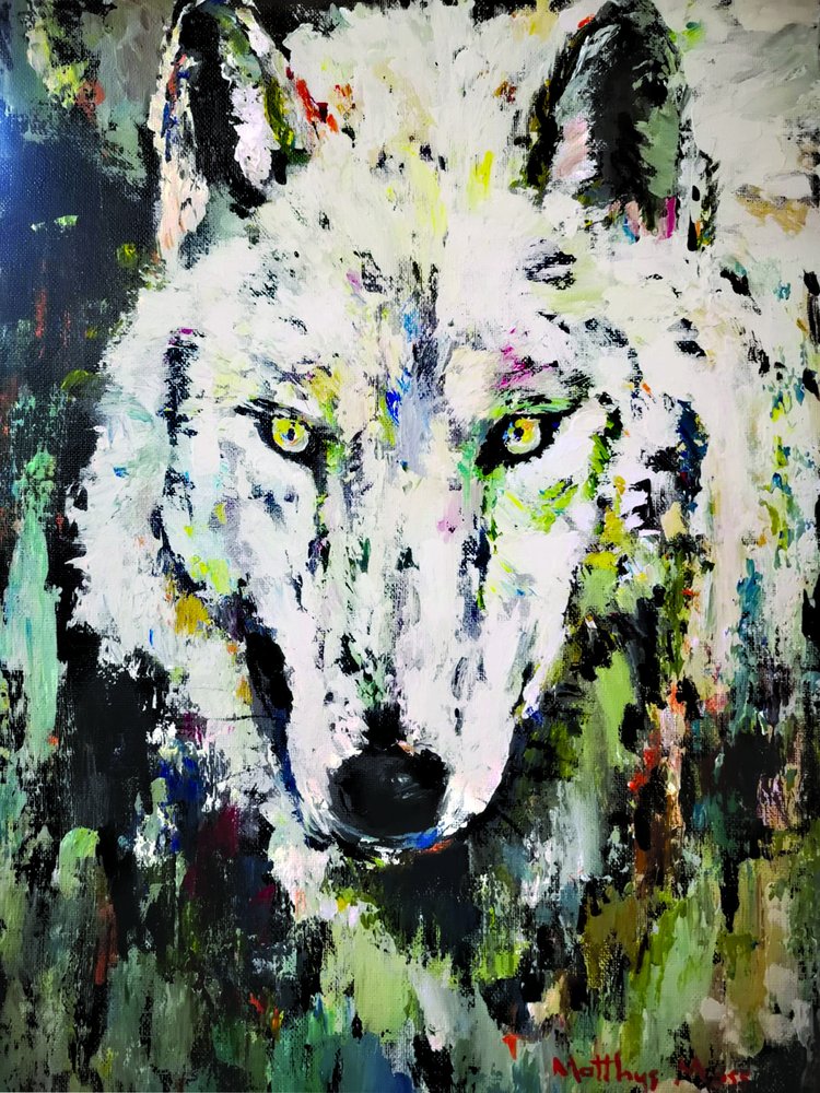 Lo sguardo del lupo bianco da Matthys Moss