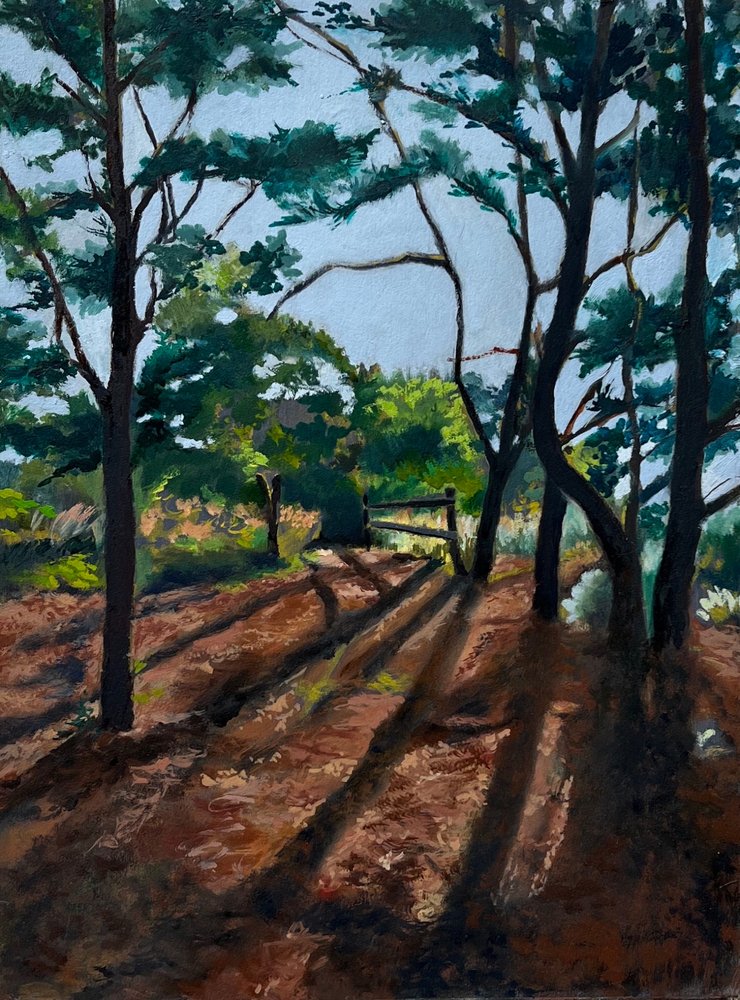 Sentiero nel bosco - Lunghe ombre da Maxine Shore