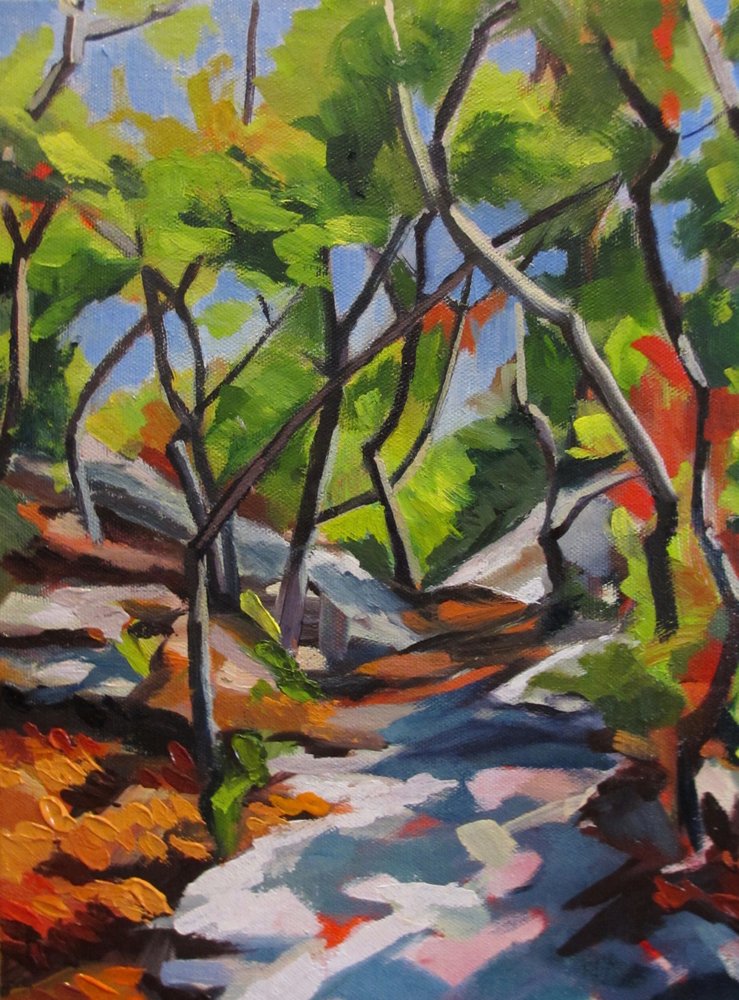 Passeggiata nel bosco illuminato dal sole da Maxine Shore