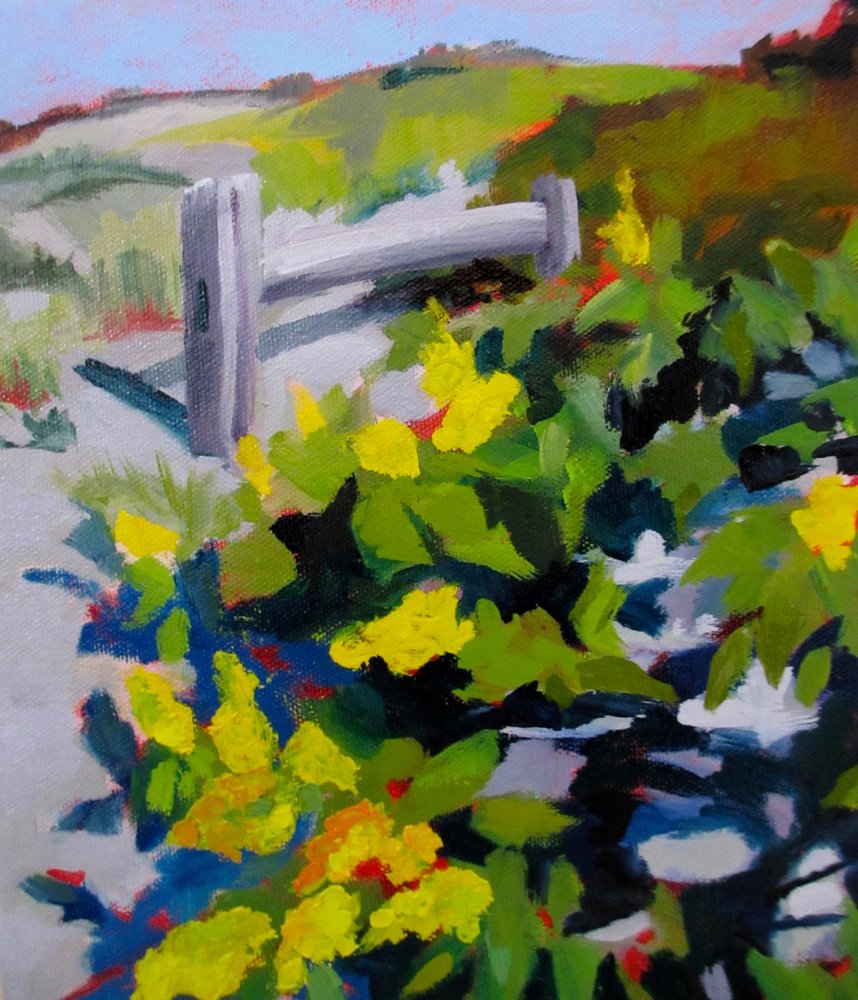 Sentiero soleggiato con fiori gialli da Maxine Shore