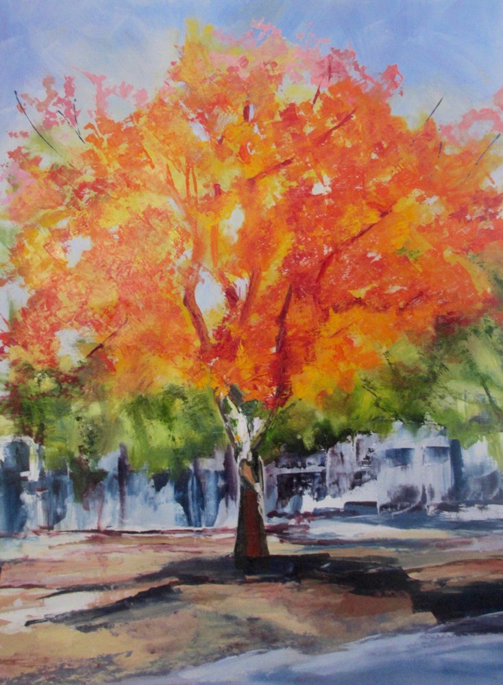 Un albero dai colori vivaci in autunno da Maxine Shore