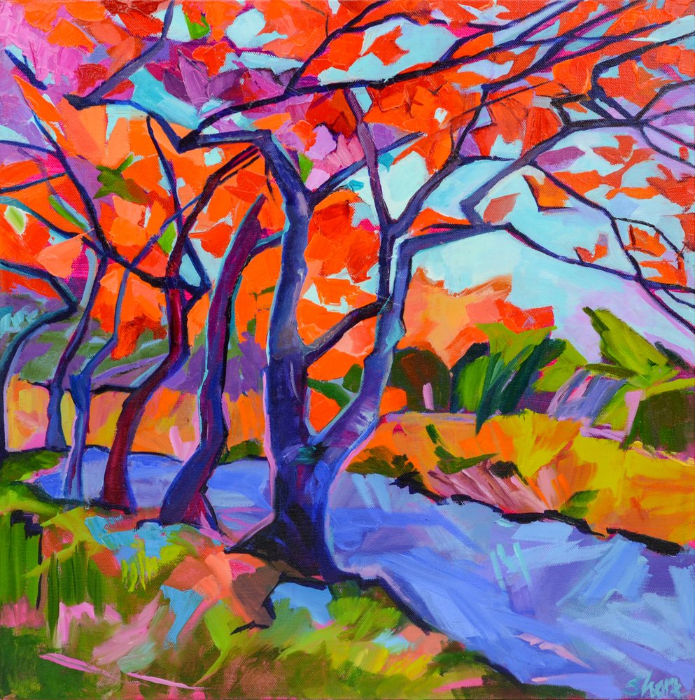 Alberi dai colori vivaci in autunno da Maxine Shore
