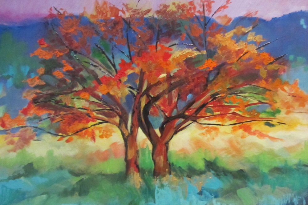 Alberi dai colori vivaci in autunno da Maxine Shore