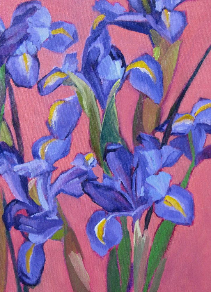 Iris blu vivaci da Maxine Shore