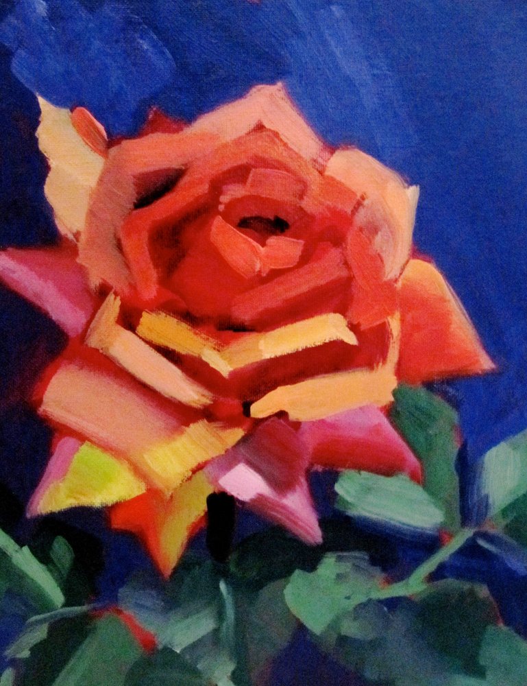 Rosa in piena fioritura da Maxine Shore