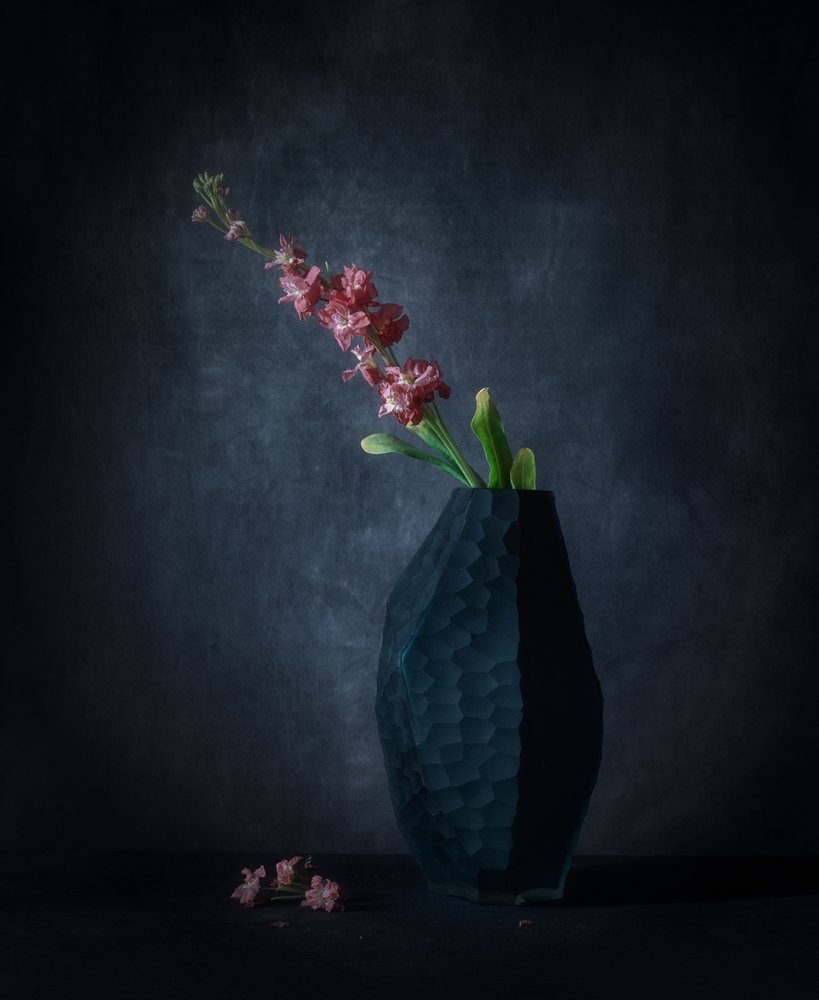 Eleganza floreale oscura da May G