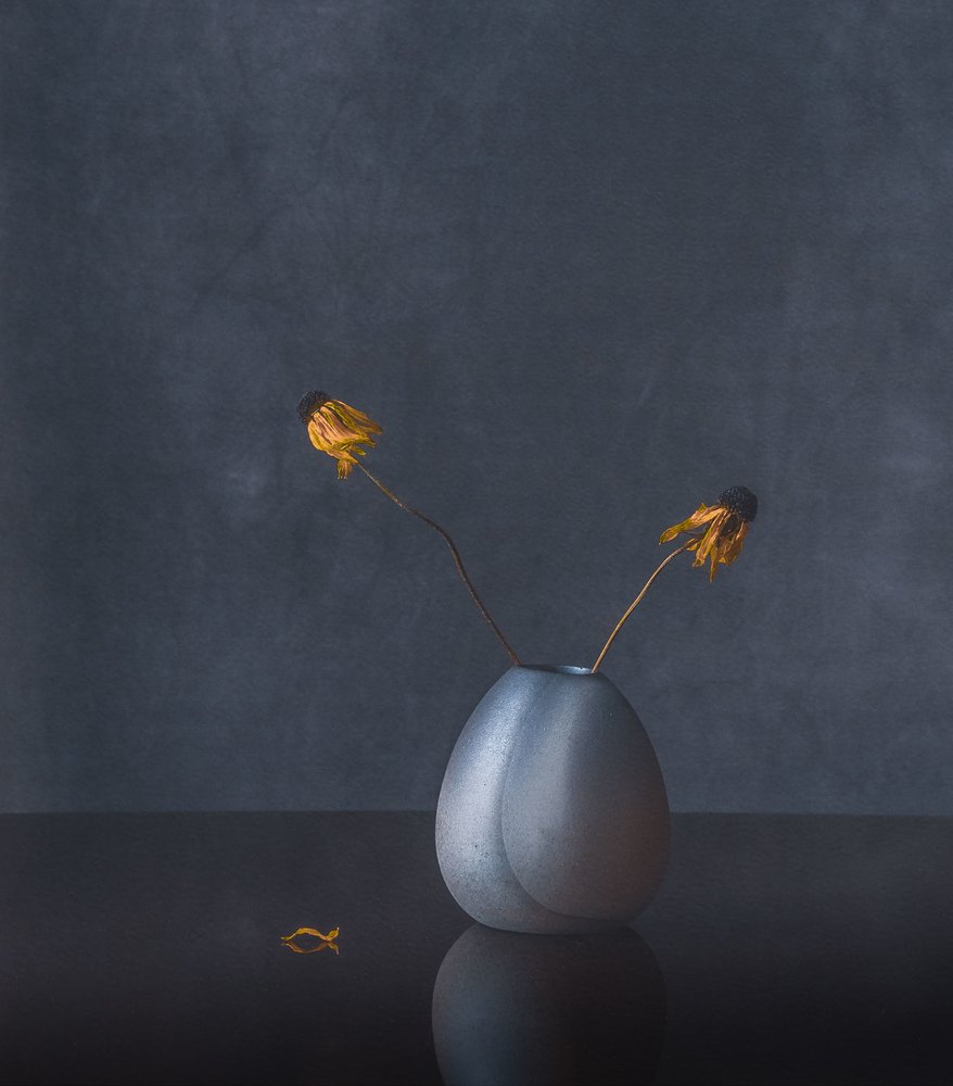 Eleganti fiori secchi da May G