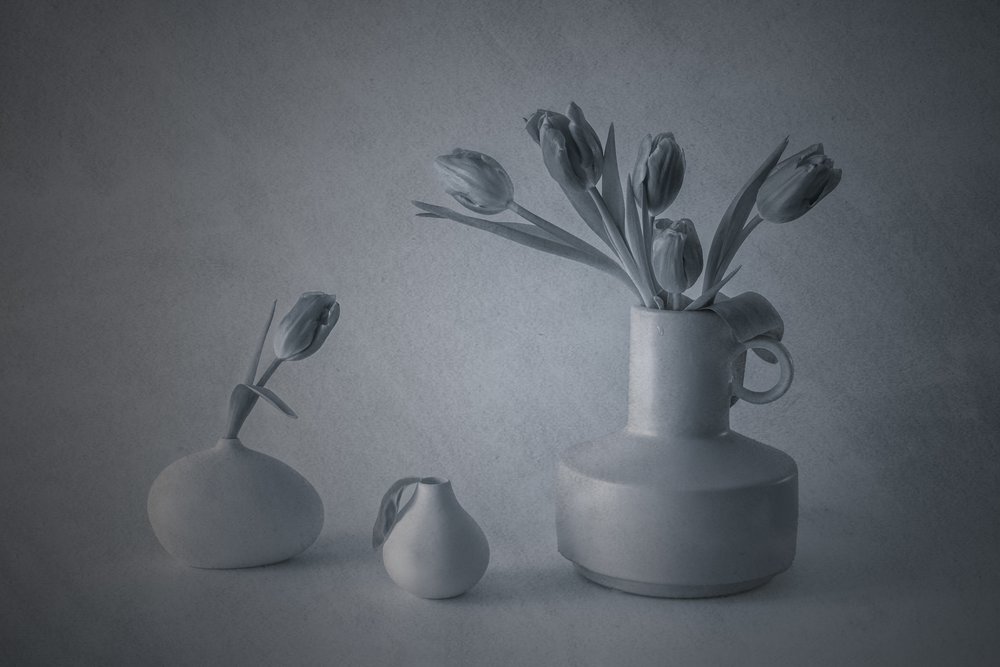 Natura morta di Moody con tulipani da May G