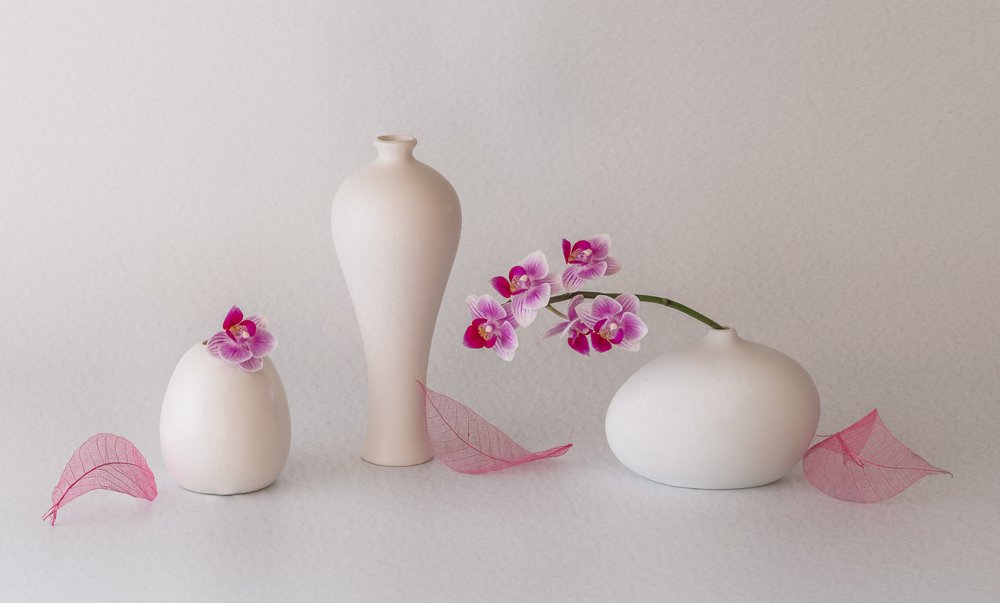 Natura morta con orchidee rosa da May G