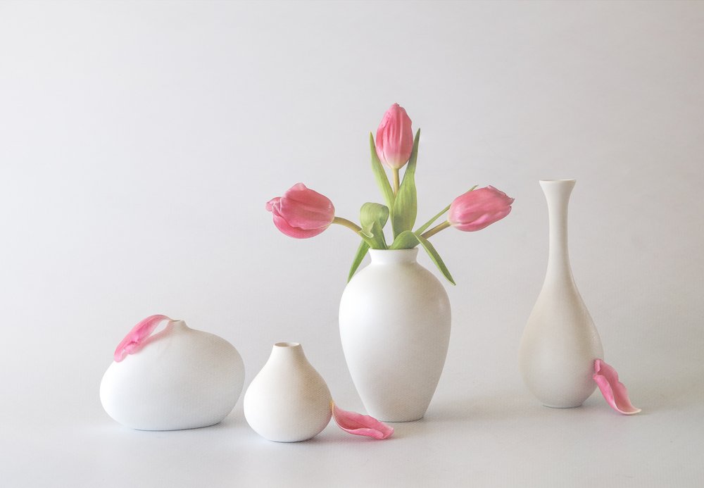 Tulipani rosa in vaso da May G