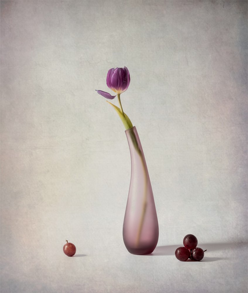 Natura morta con tulipani viola da May G