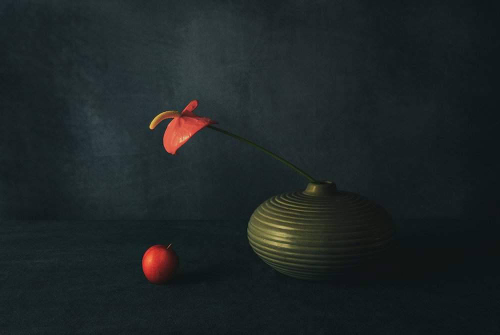Natura morta con anthurium rosso da May G