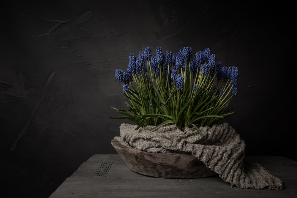 Fiori blu rustici da Mayra Pama