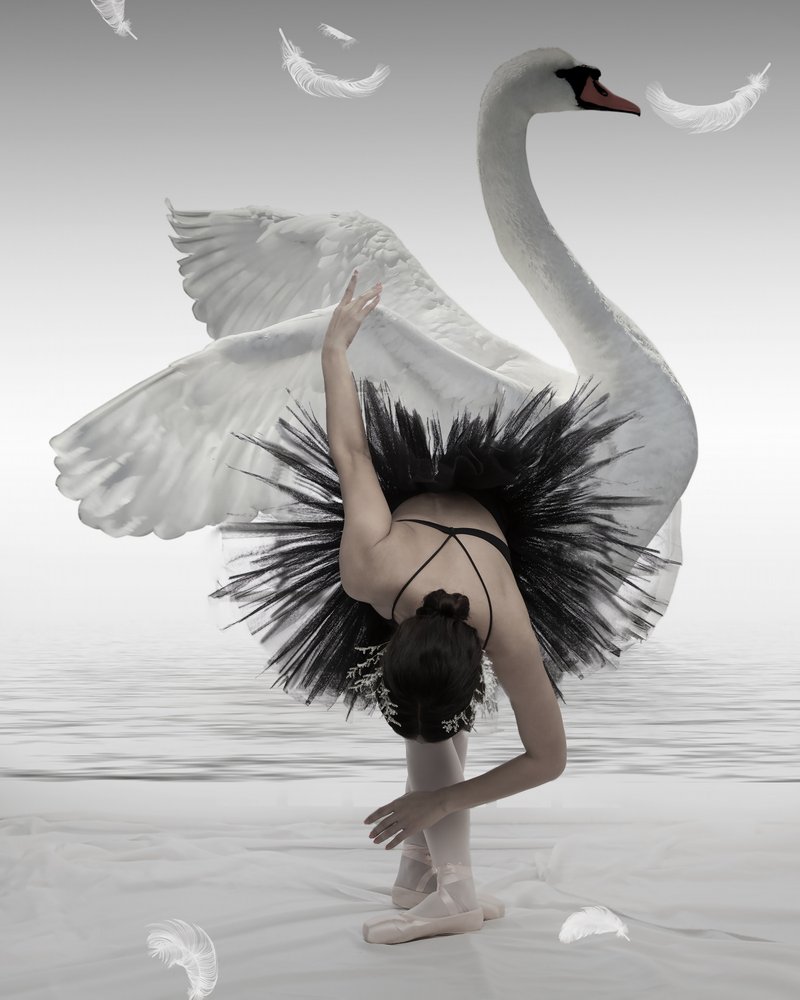 La ballerina del Cigno Nero da Mieke
